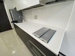 Sims Urban Oasis (D14), Condominium #516760781